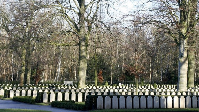 'Loopgravenoorlog' op de Grebbeberg; van frontlijn naar stoplijn