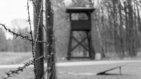 Bevrijde gevangenen Kamp Westerbork kwamen uit dertien landen