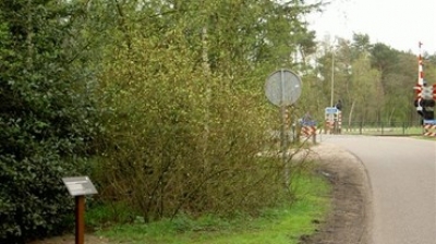 Geallieerde misser kost negen levens in Ermelo