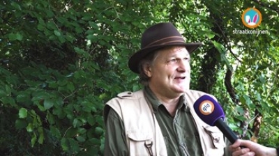 Paddo's groeien gewoon in het bos bij u om de hoek