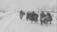 Op zoek naar voedsel in de Hongerwinter