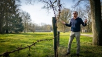 Bevrijding van Kamp Westerbork: einde aan lange en onzekere tijd