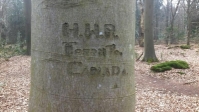 De zoektocht naar een Canadese soldaat die zijn naam in een boom schreef